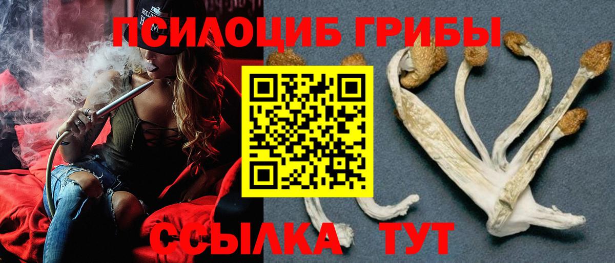 Псилоцибиновые грибы GOLDEN TEACHER Семилуки