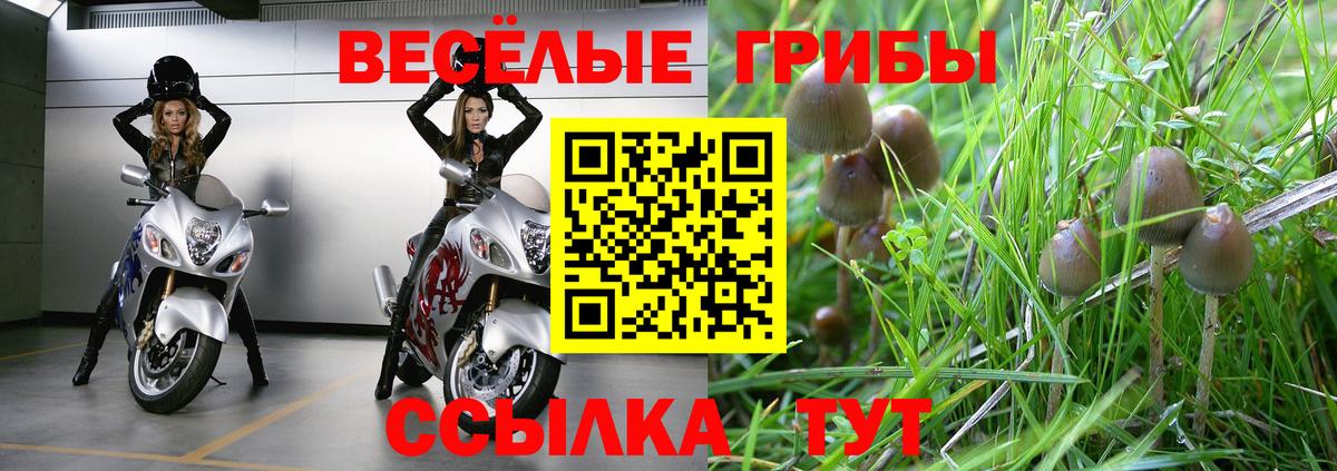 Галлюциногенные грибы Cubensis  Псилоцибиновые грибы GOLDEN TEACHER  Семилуки  Вход с VPN 